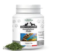 Kelp en Poudre 100g pour Chien et Chat - Complément Alimentaire Naturel, Riche en Minéraux et Vitamines, Soutien Santé et Vitalité
