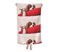 KemEng Modèle Cavalier King Charles Spaniel, Serviette de Bain Couverture de Plage en Microfibre très absorbante Serviette de Plage Douce 80 x 130 cm