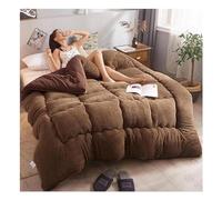 KemNet Couette Double Chaude Gonflant Édredon, Anti Allergène Couette, Couverture Isolante éPaisse Super Douce, Couverture Moelleuse en Velours Double Face en Peluche,E,220x240cm(5kg)