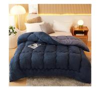 KemNet Couette Double Chaude Gonflant Édredon, Anti Allergène Couette, Couverture Isolante éPaisse Super Douce, Couverture Moelleuse en Velours Double Face en Peluche,E,220x240cm(5kg)