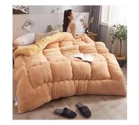 KemNet Couette Double Chaude Gonflant Édredon, Anti Allergène Couette, Couverture Isolante éPaisse Super Douce, Couverture Moelleuse en Velours Double Face en Peluche,E,220x240cm(5kg)