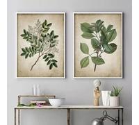 KemneT Plante verte feuilles Murale Art Toile tableau peinture Vintage affiches Murale Tableaux salon galerie intérieur Decoration de la maison 50x70 cm x 2 sans cadre