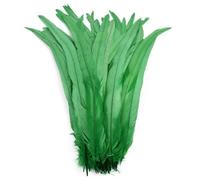 KEMTAT Plumes de Coq 25-40cm, 100 pièces, Vente en Gros, Artisanat de Mariage, Plumes Naturelles, Bricolage, Travail Manuel, Plume de fête, décoration de Couvre-Chef de Carnaval, Vente en Gros