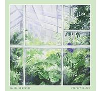 Kenney - Perfect Shapes [Import]