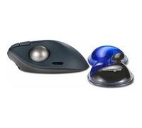 Kensington Repose-Poignet Souris Slim Duo Gel, 192 x 72 x 22mm, Support Ergonomique pour Les tensions et l'inconfort du Poignet, Convient aux Souris et trackballs à Profil Bas, Noir/Bleu (K62439WW)
