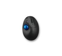 Kensington Pro Fit Ergo TB450 mouse Mano destra RF senza fili + Bluetooth Trackball 1600 DPI