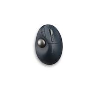 Kensington Pro Fit Ergo TB550 souris Bureau Droitier RF sans fil + Bluetooth Trackball 1600 DPI