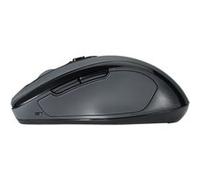 Kensington Souris sans fil taille moyenne Pro Fit® - gris anthracite