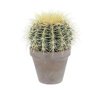 KENTIS - Echinocactus Grusonii - Cactus Oreiller de belle-mère - Plantes Vertes Succulentes - H 20-30 cm Pot en Terre Cuite Ø 14 cm