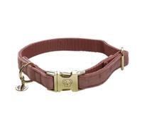 Kentucky Collier De Chien Velvet