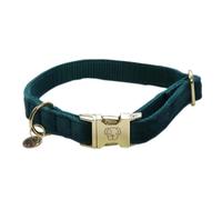 Kentucky Collier De Chien Velvet