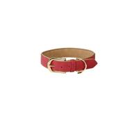 Collier pour Chien - XL - Cuir - Rouge