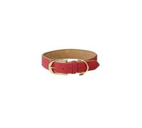 Kentucky Dogwear Collier pour chien en nylon tressé - Bleu clair - XXS