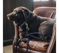Kentucky Dogwear Collier pour chien Nylon tressé