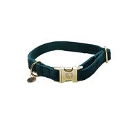 Kentucky Dogwear - Collier pour Chien - Velours - Emeraude - L - 42-68cm