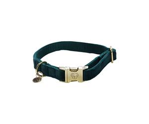 Kentucky Dogwear - Collier pour Chien - Velours - Emeraude - L - 42-68cm
