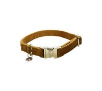 Kentucky Dogwear - Collier pour Chien - Velours - Moutarde L - 42-68cm