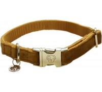 Kentucky Dogwear Collier pour Chien 'Velvet" moutarde - L (42-68 cm)