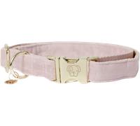 Kentucky Dogwear Collier pour Chien "Velvet" soft rose - S (28-40) cm