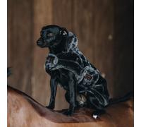 Kentucky Dogwear Couverture pour chien Dog Coat Fake Fur 300g - Grey