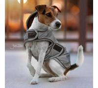 Kentucky Dogwear Couverture pour chien Dog Coat Reflection Water Repellent - argent