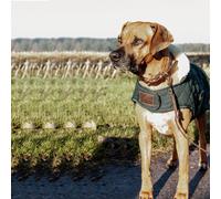 Kentucky Dogwear Hundemantel Original Hundejacke Dunkelgrün XS