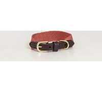 Kentucky Dogwear Jacquard Collier de chien