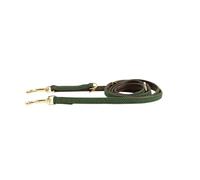 Kentucky Dogwear - Laisse pour chien - Nylon tressé - Vert olive - 200cm