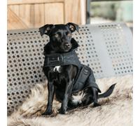 Kentucky Dogwear manteau pour chien 160g