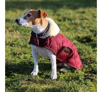 Kentucky Dogwear manteau pour chien 160g