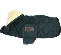 Kentucky Dogwear Manteau pour Chien vert foncé - XL