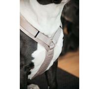 Kentucky Harnais Pour Chien Active Velvet