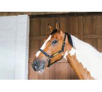 Kentucky Horsewear Licol en cuir Wellington Licol en cuir noir Cob