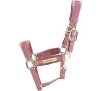 Licol COB - Vieux rose - Velours