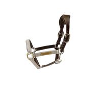 Licol pour cheval anatomique nylon Kentucky Beige Full