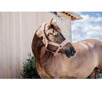 Kentucky - Licol Teddy fleece Vieux rose cob