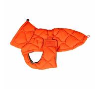 Kentucky Manteau Pour Chien Winter Pina
