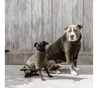 Kentucky Manteau pour chiens Pullover Teddy Fleece