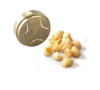 Kenwood Filières pour pâtes ConchiglietteAT910011 A910/10