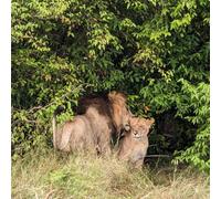 Kenya - 2025: Maisha Marefu