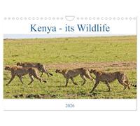 Kenya - its Wildlife (Wall Calendar 2026 DIN A4 landscape), CALVENDO 12 Month Wall Calendar: Kenya's exotic wild animals and birds