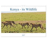 Kenya - its Wildlife (Wall Calendar 2027 DIN A4 landscape), CALVENDO 12 Month Wall Calendar: Kenya's exotic wild animals and birds