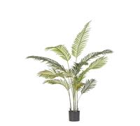 Kenzia Plant C-Pot 14Leaves H120