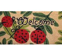 KERA Paillasson art en fibre de coco naturelle imprimé fantaisie tapis entrée maison sèche pas avec dos pvc antidérapant doormat extérieur maison jardin (rectangulaire DIS 3, 38 x 68 cm)