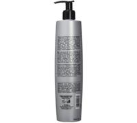KERAGOLD PRO Shampoing Silver Anti Jaunissement - Lot de 2