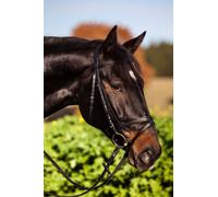 Kerbl 32171 Bridon cuir standard pour pur-sang, noir