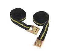 Kerbl 37109 Sangle de Serrage Capacité d'arrimage, Lot de 2, 25 mm x 2.5 m, 250 kg