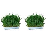 Kerbl 83199 Herbe à ronger 100 g (Lot de 2)