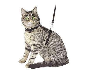 Kerbl 83819 Ensemble de Laisse + Harnais pour Chat Noir 120 cm