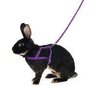 Kerbl Agility Harnais pour Chien Lilas Taille M